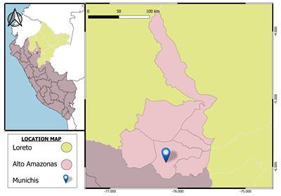 Physiological characterization and bioactive compounds of promising accessions of cowpea (Vigna unguiculata L. Walp) in the Peruvian Amazon